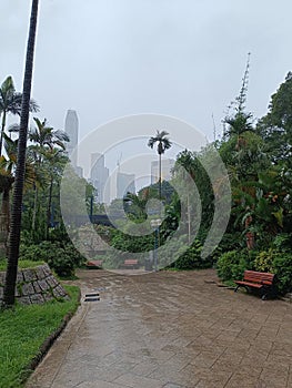 View of buildings and plants in Kowloon park, Hong Kong during rain