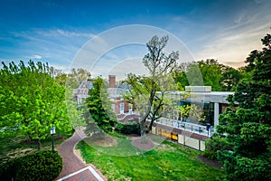 View of buildings and trees at Johns Hopkins University, in Baltimore, Maryland.