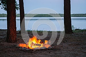 View of burning camp fire by the lake at twilight surrounded by tree silhouettes. Burning fire place by the water surrounded by