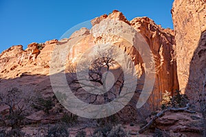 View on Burr Trail Road