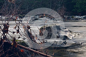 View through bushes at boulder midstream in Sooke River in autumn