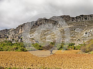 View of bushes and vegetation at the base of the El Torcal de antequera