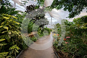 View of the butterfly garden at the Insectarium