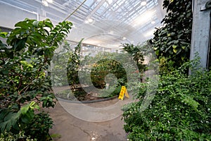 View of the butterfly garden at the Insectarium