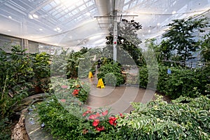 View of the butterfly garden at the Insectarium