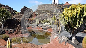 View of cactus garden jardin de cactus in Guatiza Lanzarote Canary Islands Spain