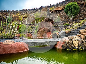 View of cactus garden , Lanzarote