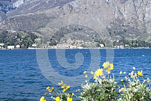 View of Cadenabbia and mountain Tremezzo