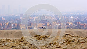 View on Cairo in myst. Egypt