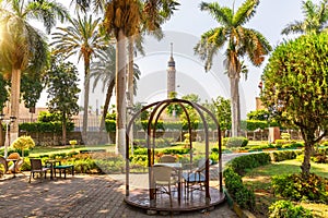 View on the Cairo Tower and city downtown from the exotic park, Egypt