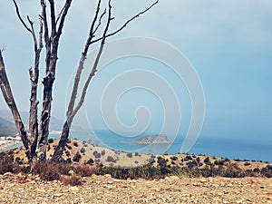 View of cala iris beach in el hoceima, morocco photo