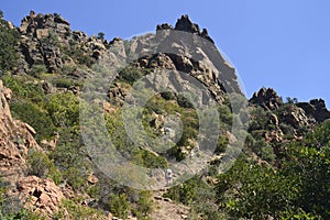 View of Cala Mudanda photo