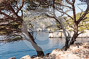 Serenity in the Calanques: Port Pin and En Vau photo