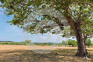 View of Calauit Island Game Preserve and Wildlife Sanctuary