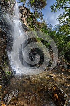 A view of caledonia waterfall .