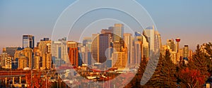 View of the Calgary, Alberta skyline under evening sun light