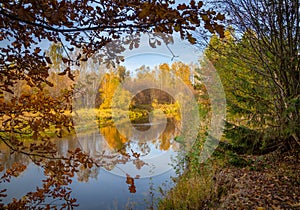 view of a calm river, autumn, Sunny day. In the foreground are beautiful twigs and leaves. Reflection