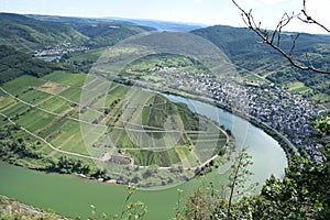 view from the Calmont to the Mosel curve with ruin of the monastery Stuben