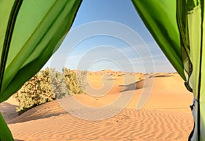 View from camp on sand dunes. Erg Chebbi Sand dunes near Merzouga, Morocco