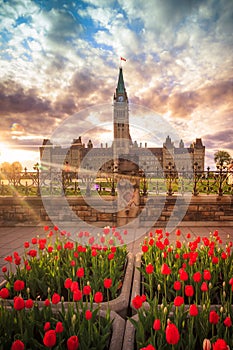 View of Canada Parliament building in Ottawa