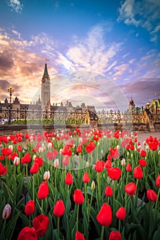 View of Canada Parliament building in Ottawa