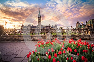 View of Canada Parliament building in Ottawa