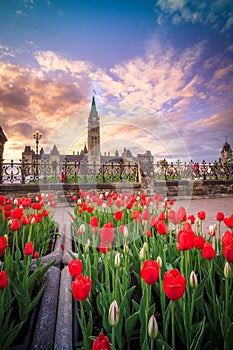 View of Canada Parliament building in Ottawa