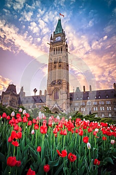 View of Canada Parliament building in Ottawa photo