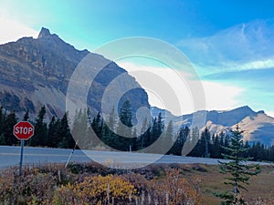 View of the Canadian Rockies from a driving car in Banff National Park, Alberta, Canada
