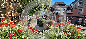 View on the canal framed by colourful flowers in Colmar, Alsace, France