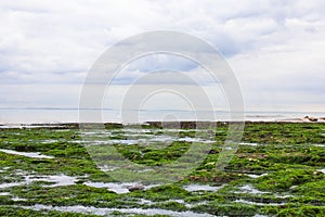 View of the canal la manche