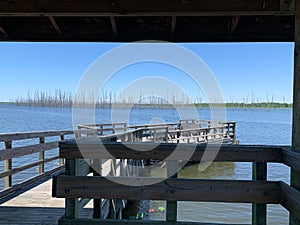 view of Cane Creek Lake in Arkansas