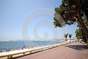 View of Cannes (french riviera