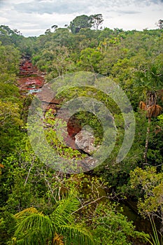 View of Cano Cristales in Colombia