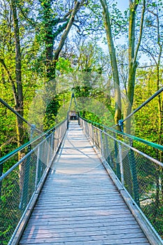 View of canopy walk in the schonbrunn tierpark, Vienna, Austria...IMAGE