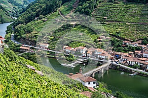 View of Canyon del Sil from Belesar in Parada de Sil in Galicia, Spain, Europe photo