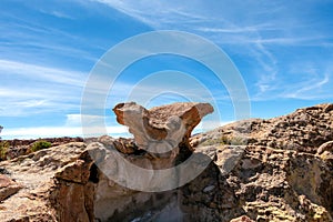 View of the Canyon of Laguna Negra and rocky landscape of the Bolivian plateau, Bolivia, South America