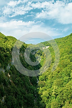 View of the canyon. Green mountain forest, blue sky and white clouds.