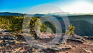 View from Canyon Rim trail in Flaming Gorge Utah National Park of Green River high angle aerial overlook