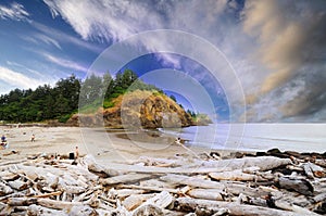 A View From Cape Disappointment