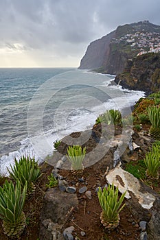 View of Cape GirÃ£o with Cactus on the foreground in Camara de Lobos, Madeira