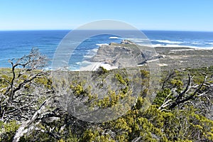 View of Cape of Good Hope from Cape Point in Cape Town on the Cape Peninsula Tour in South Africa