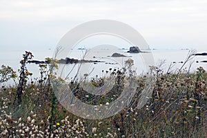 View from the cape Sillon de Talbert in Brittany Bretagne photo