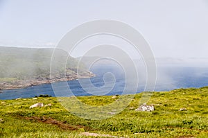 View from Cape Spear Walking trails