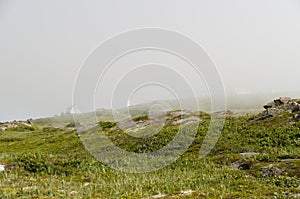 View from Cape Spear Walking trails