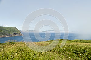 View from Cape Spear Walking trails