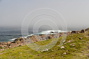 View from Cape Spear Walking trails