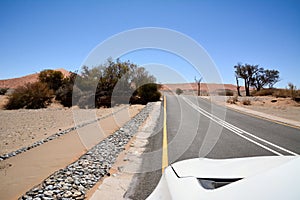 View from a car on an empty asphalt road in perspective in the desert. Bushes grow on the sides