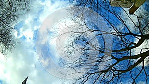 View through car`s moonroof during a city tour