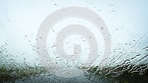 View through the car window in the rain. Rainy weather through the car window. Tree behind rainy windshield